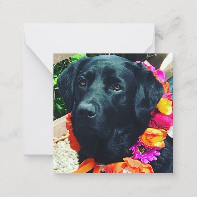 Fia Flower-Hund med Blommigt Collar Note Card Anteckningskort (Framsida)