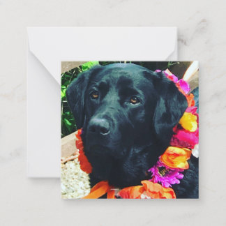 Fia Flower-Hund med Blommigt Collar Note Card Anteckningskort