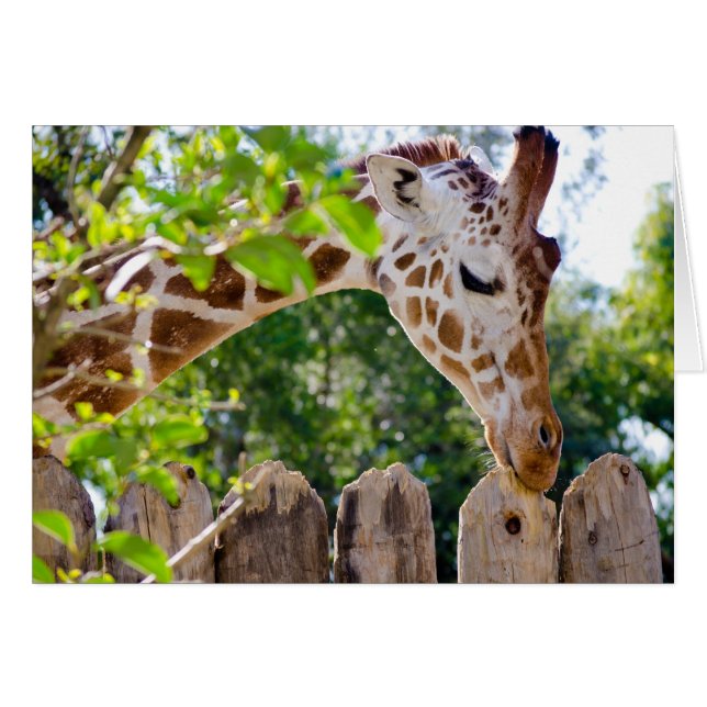 Fiberlicious Hälsningskort (Framsidan Horizontal)