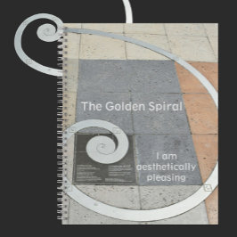Fibonacci Golden Aesthetical Pleasing