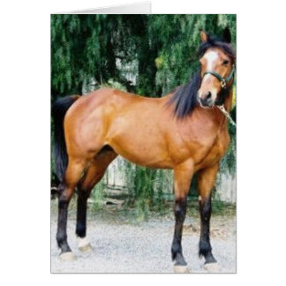 Fibonacci Hälsningskort