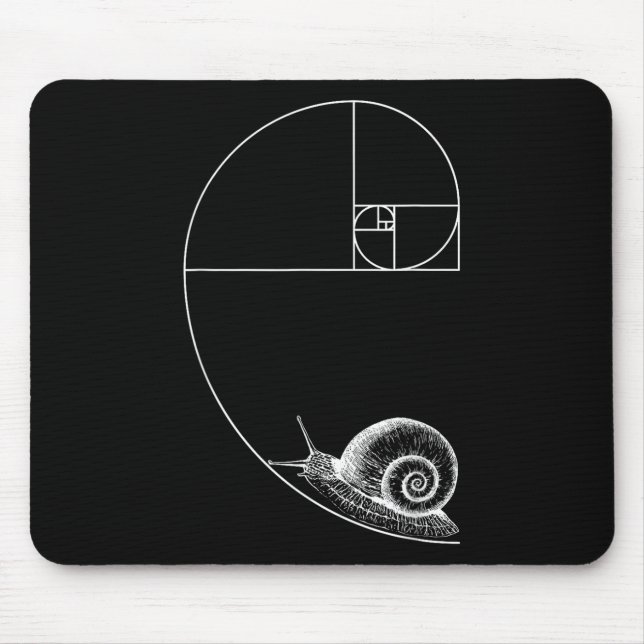 Fibonacci med Snigel matematik Math Teacher Geom Musmatta (Framsidan)