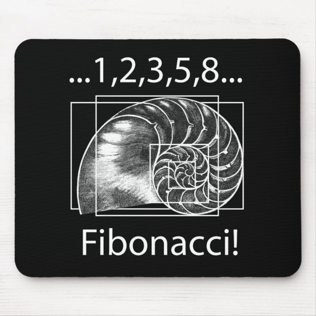 Fibonacci Musmatta (Framsidan)