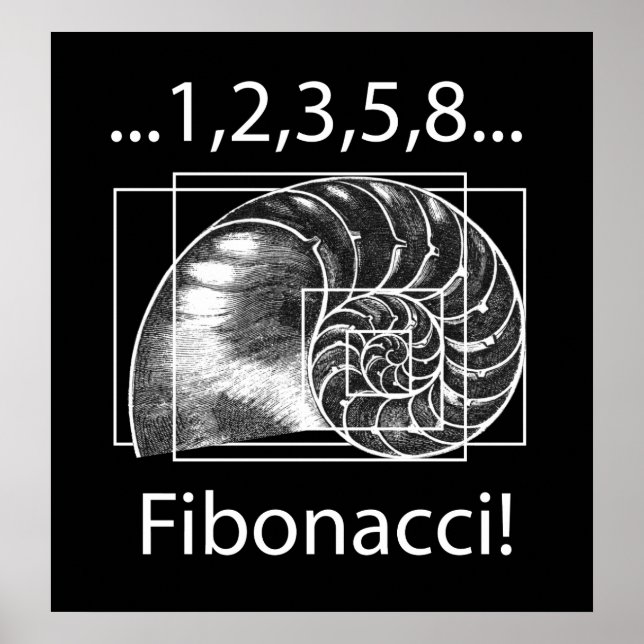Fibonacci Poster (Framsidan)