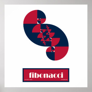 Fibonacci Red White och Blue II Huge Poster