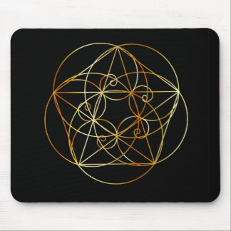 Fibonacci spiral den sakrala geometrin musmatta