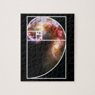 Fibonacci spiral galax pussel