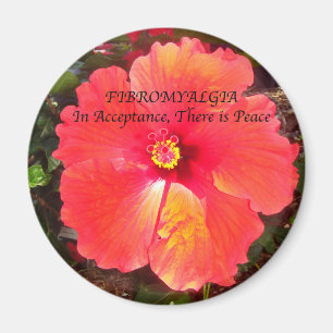 Fibro godtagande magnet