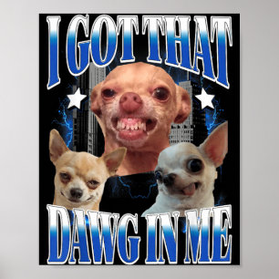 Fick Den där Hunden i Rolig Hund Chihuahua Älskare Poster