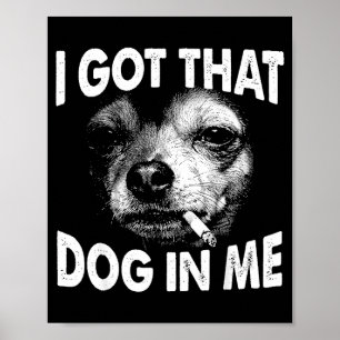 Fick den hunden i rolig hund chihuahua-älskare män poster