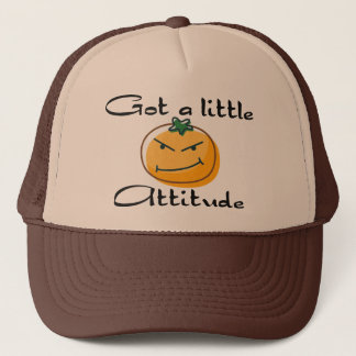 Fick lite en inställning truckerkeps