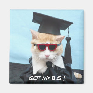 Fick min B.S.! Magnet