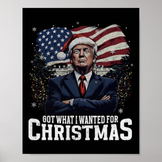 Fick vad jag ville ha i jul Trump vann president Poster