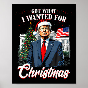 Fick vad jag ville ha till jul Trump 2025 _1 Poster