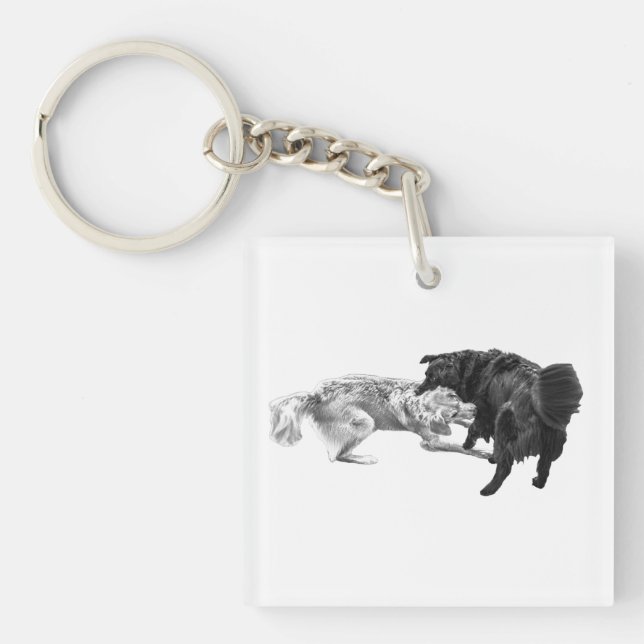 Fickpugs, skuggad glädje (Framsidan)