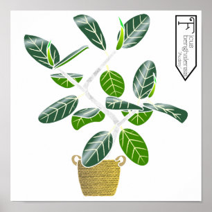 Ficus benghalensis 'Audrey Fig Träd Poster Skriv u