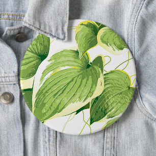 Ficus Plant 2 Knapp