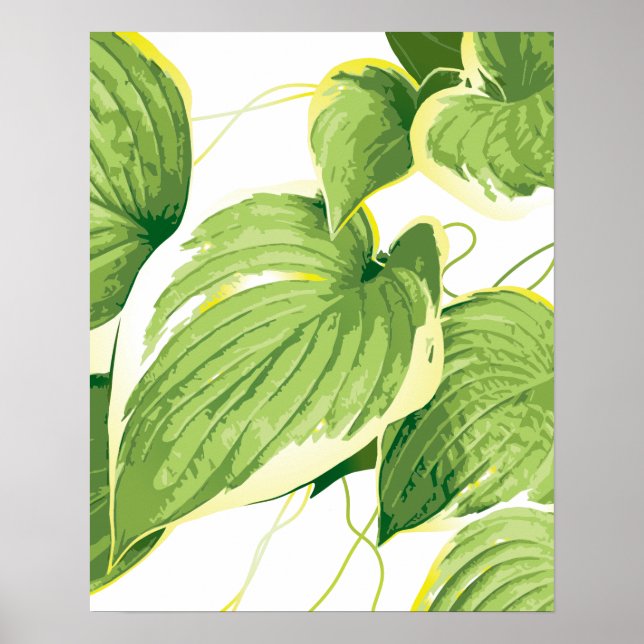 Ficus Plant 2 Poster (Framsidan)