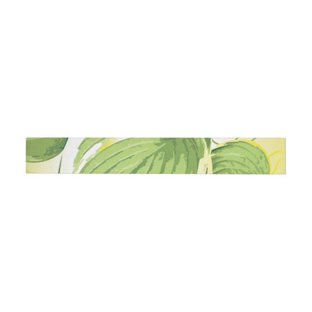 Ficus Plant 4 Etikettband (Individual)