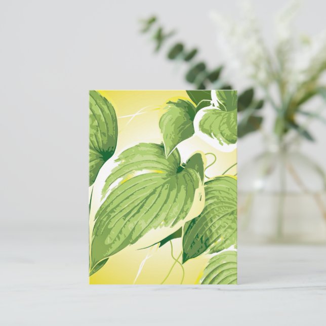 Ficus Plant 4 Vykort (Stående Fram)