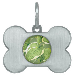 Ficus Plant 5 ID-bricka Husdjur