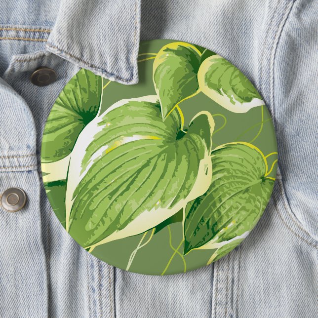 Ficus Plant 5 Knapp (In Situ)