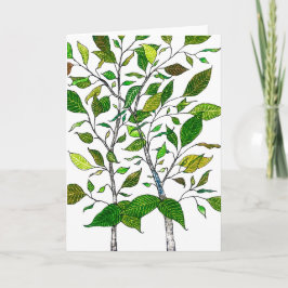 Ficus Växt Färgpenna Träd Ritning Kort
