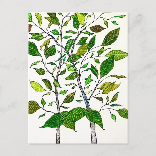 Ficus växt färgpenna träd ritning  vykort (Framsida)