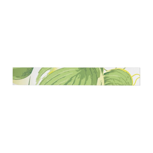 Ficusväxt 2 etikettband (Individual)