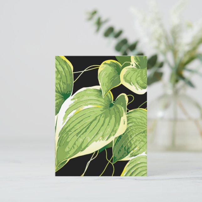 Ficusväxt 3 vykort (Stående Fram)