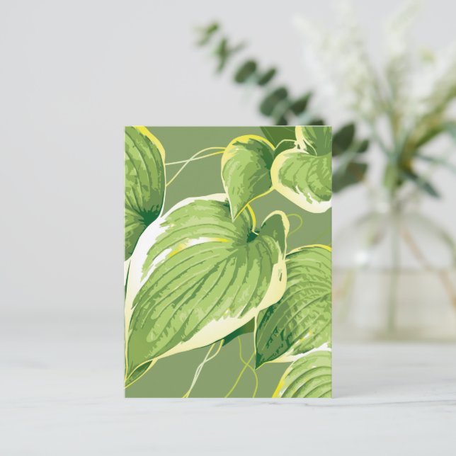 Ficusväxt 5 vykort (Stående Fram)
