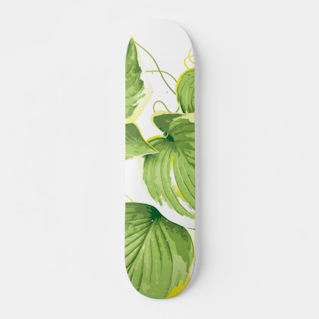 Ficusväxt Mini Skateboard Bräda 18,5 Cm (Framsida)