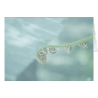 fiddle dee dee. hälsningskort