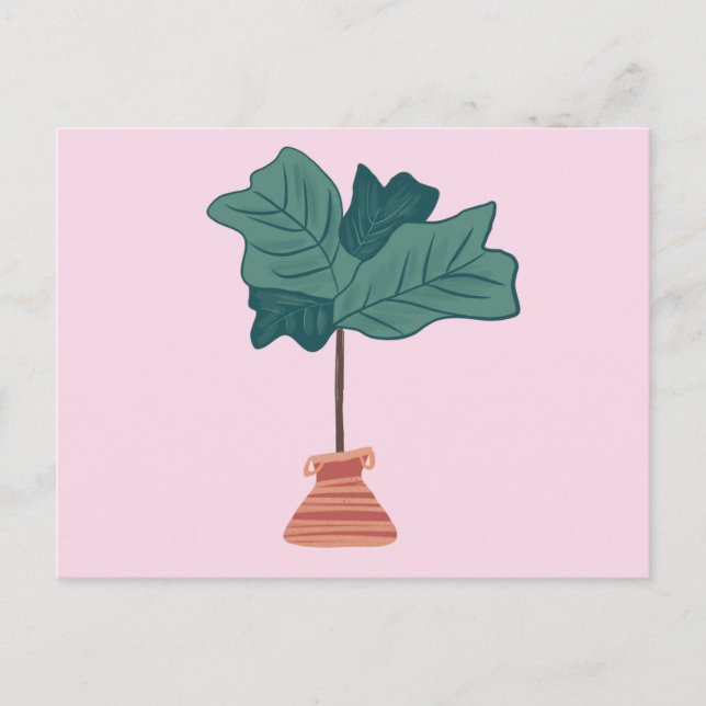 Fiddle Fig Träd Grönt Poted Plant Rosa Vykort (Framsida)