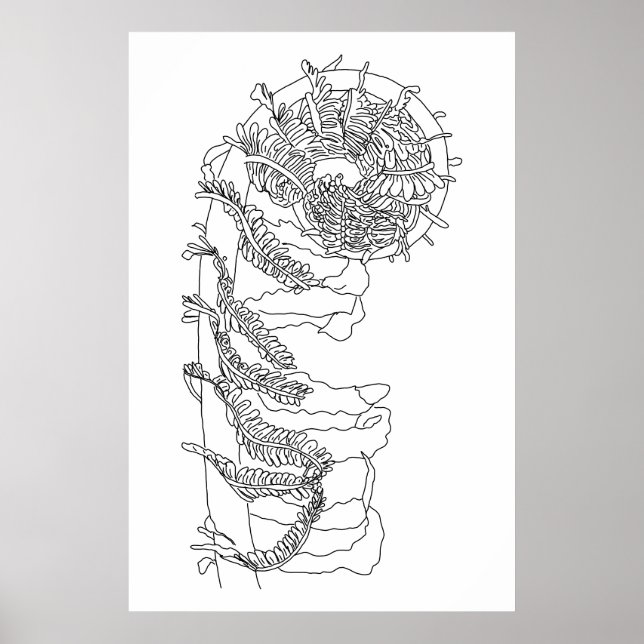 Fiddlehead Fern Illustration Poster (Framsidan)