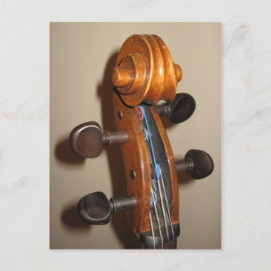 Fiddlehead vykort