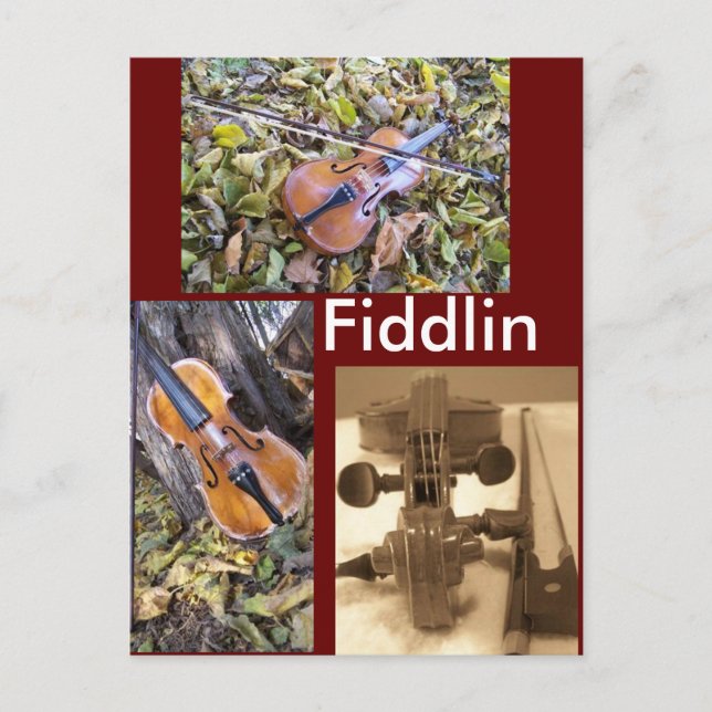 fiddlin fanatiskt vykort (Framsida)