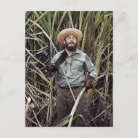 Fidel Castro