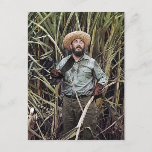 Fidel Castro Vykort
