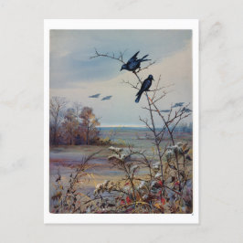 Fidelia Bridges Helg Vykort