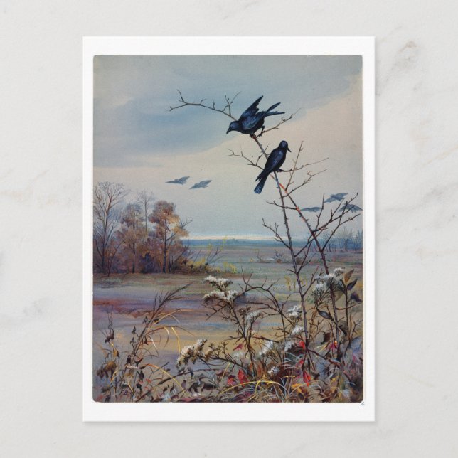 Fidelia Bridges Helg Vykort (Framsida)