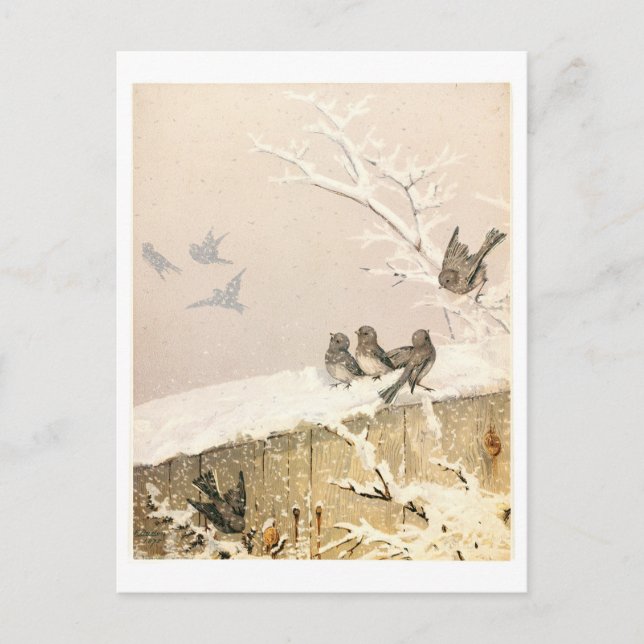 Fidelia Bridges Helg Vykort (Framsida)