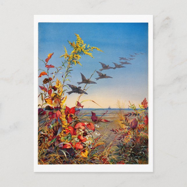 Fidelia Bridges Helg Vykort (Framsida)