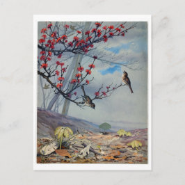 Fidelia Bridges Helg Vykort