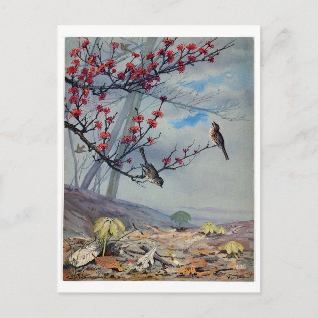 Fidelia Bridges Helg Vykort (Framsida)