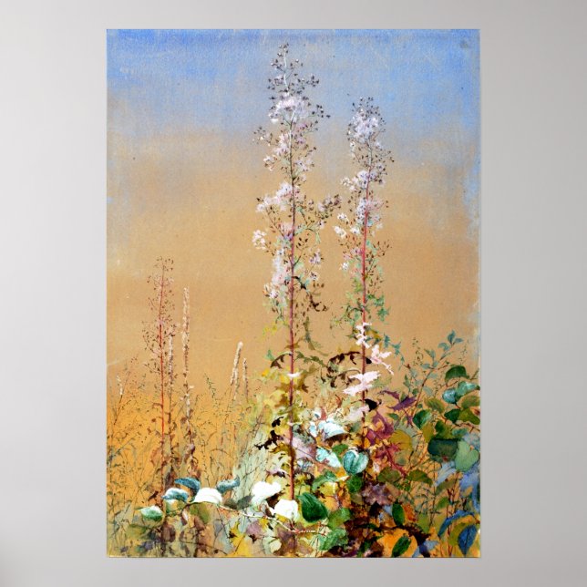 Fidelia Bridges namnlös Poster (Framsidan)