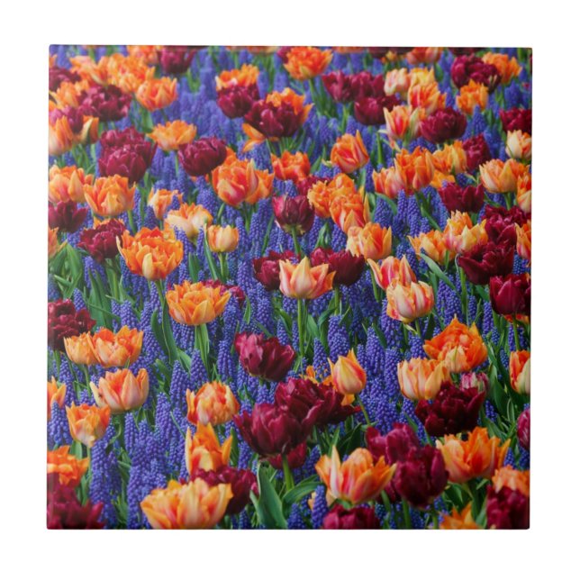 Field of Blue, Orange and Red Flowers Kakelplatta (Framsidan)