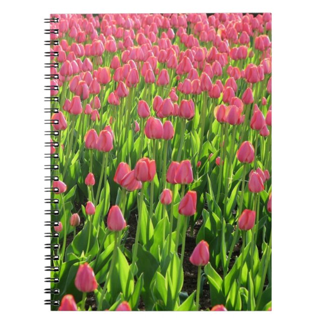 Field of Pink Tulips Anteckningsbok (Framsidan)