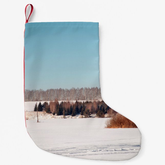 Fields and forests of central Russia. architecture Liten Julstrumpa (Framsidan)