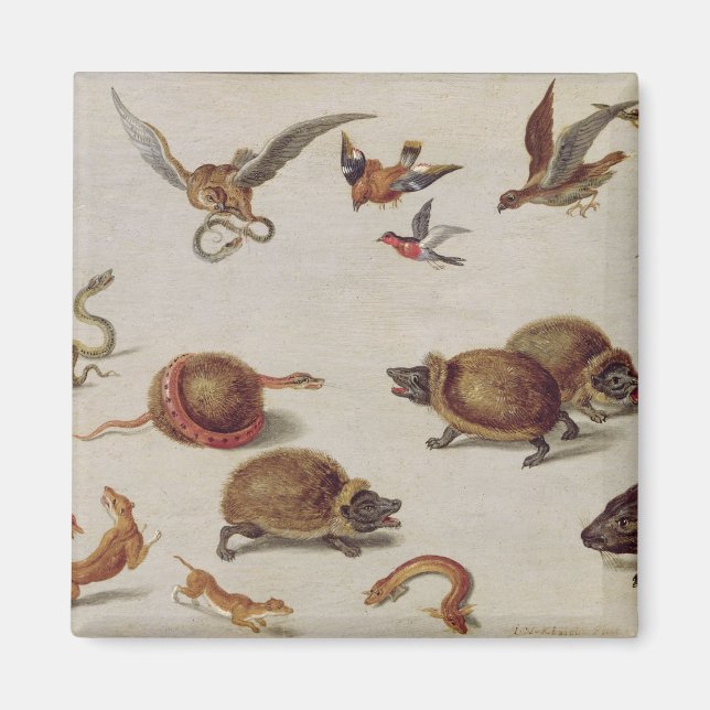 Fienden efter ormar magnet (Framsidan)